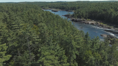 Our sustainability promise