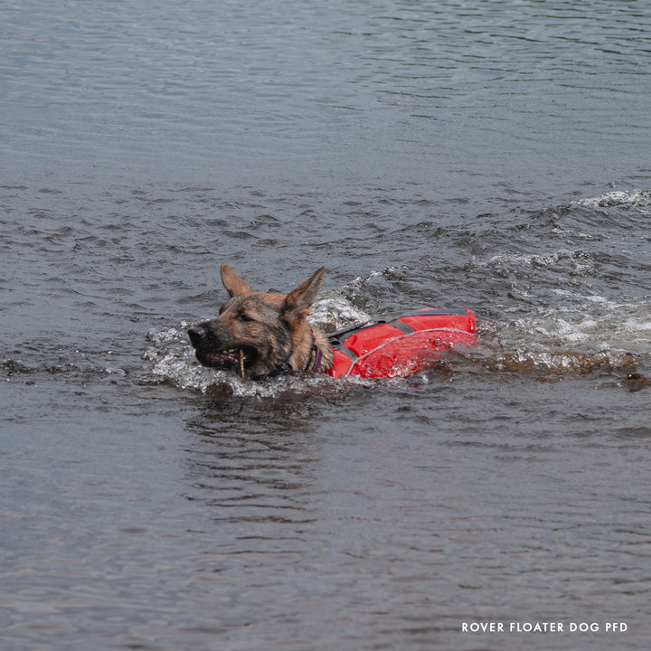Rover Floater Dog PFD XL / XXL (4)